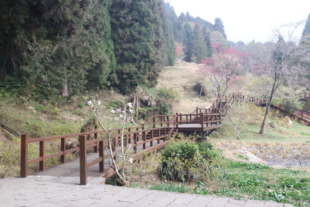 阿里山棧道