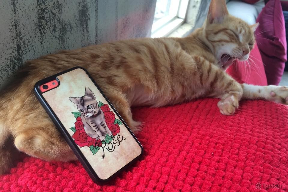 客制產品結合（手繪，電繪）