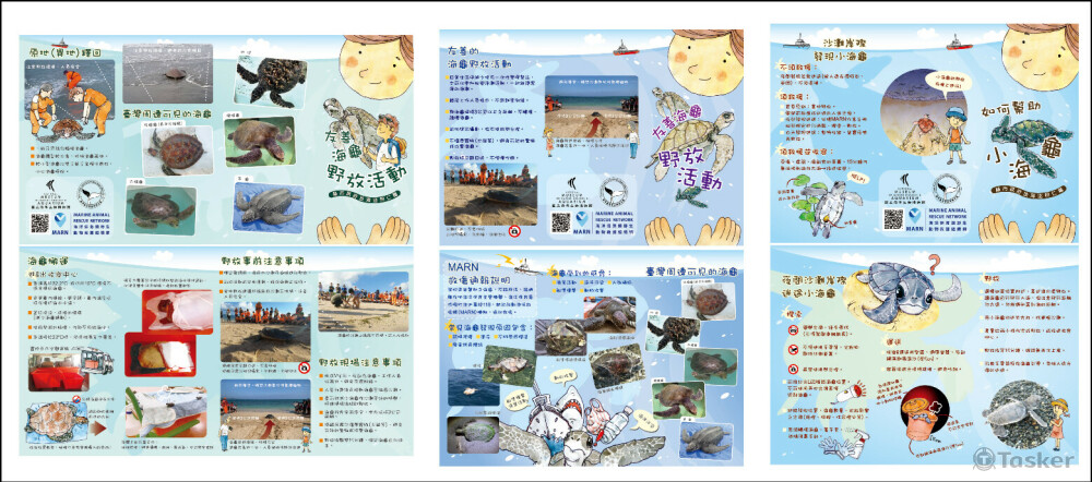 屏東海生館/插畫DM