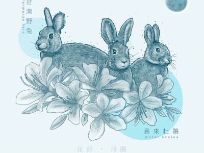 臺灣珍寶插圖集