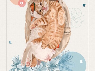 插畫主視覺設計