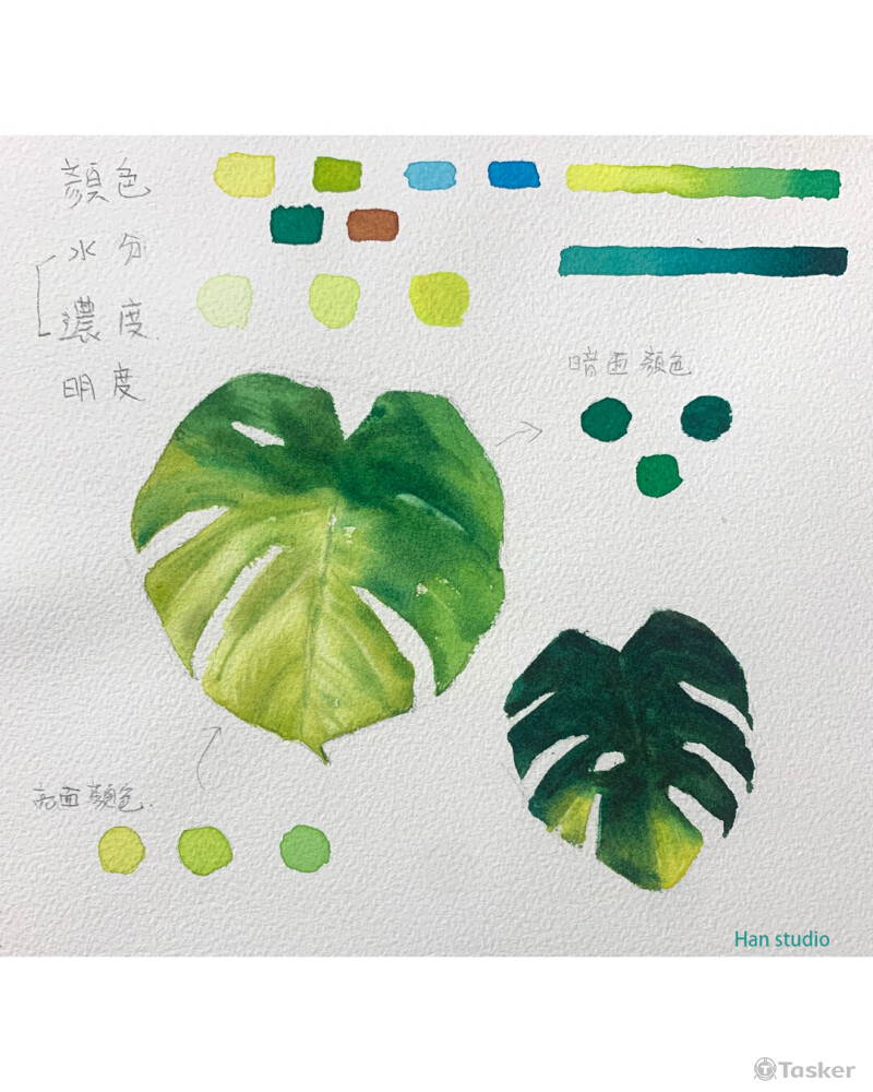 龜背芋葉子配色跟方法拆解，感興趣朋友可以試畫看看喔