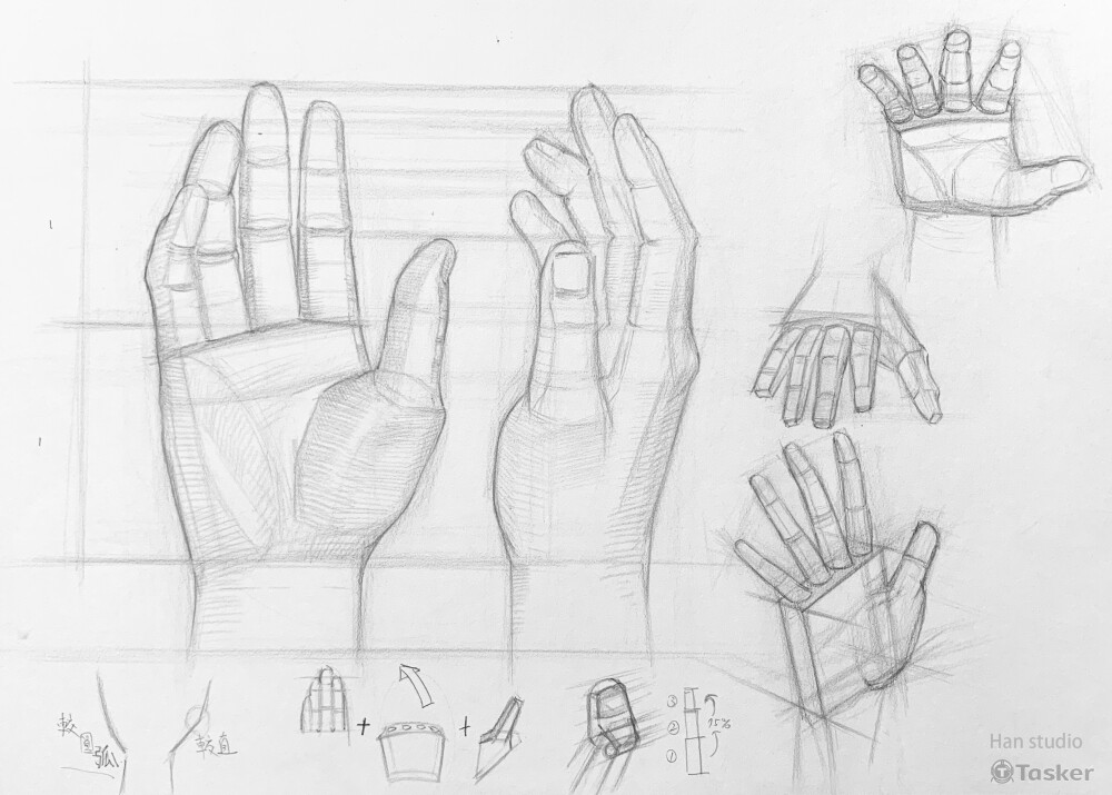 手掌結構講解，認識比例與結構如何配合，以及該怎麼簡化、理解並畫出來