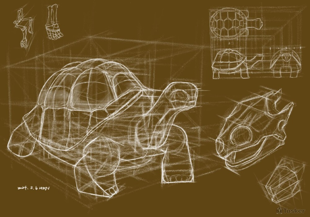 陸龜結構素描，運用方格子推算如果轉換角度後，形狀可能的樣子