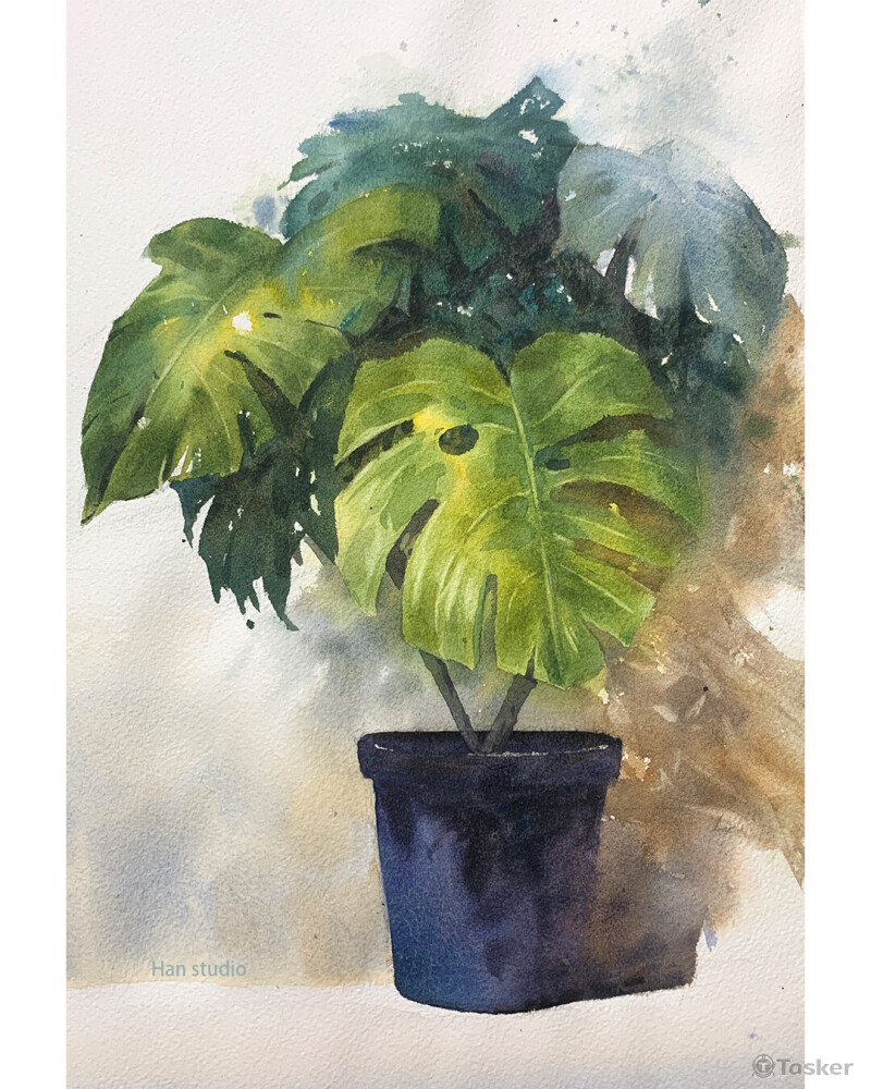 龜背芋植物水彩示範，這堂課介紹如何調出不同種的綠色跟搭配