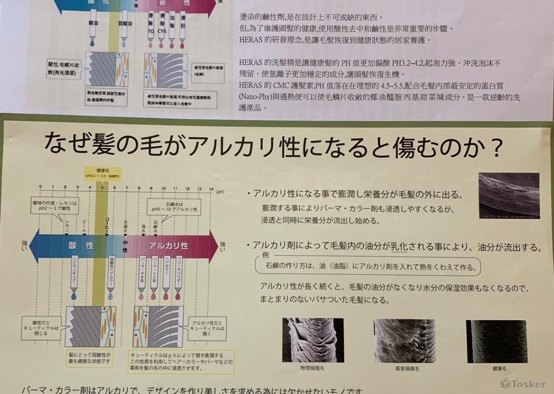 教案專業知識翻譯