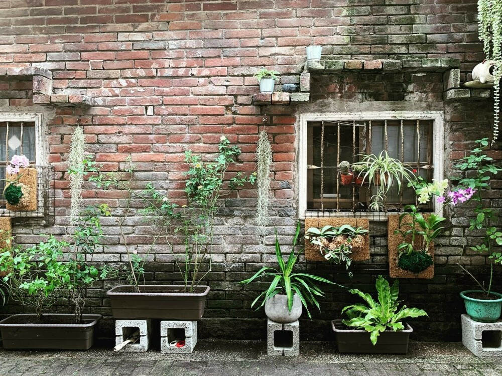 景觀綠化設計與施作