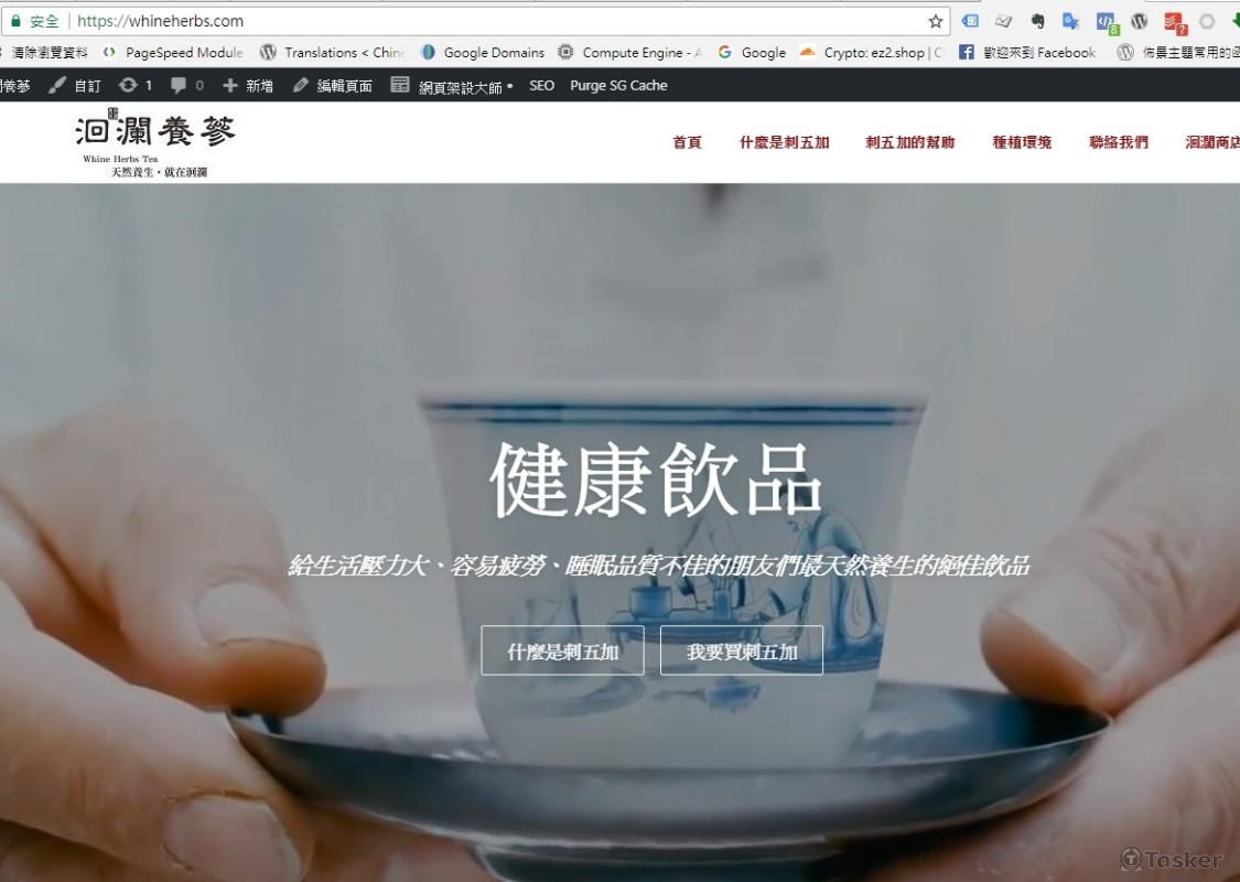 刺五加養生茶飲，來自花蓮吉安鄉的天然無毒草本茶