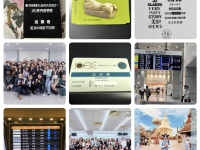 台日國際會議口譯師