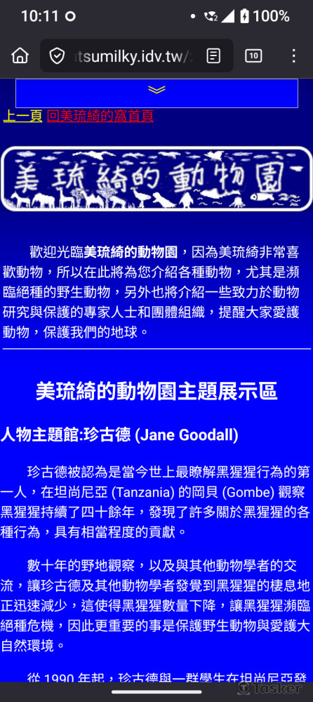 藍色色調專業訊息手機版頁面