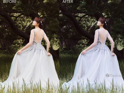 婚紗照精修/修片