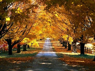 攝影、影像處理相簿