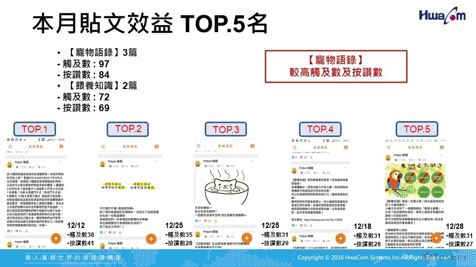 Hami Pet APP_華電_12月報