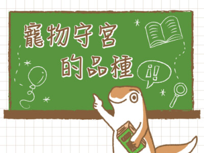 守宮電繪SEO文案素材