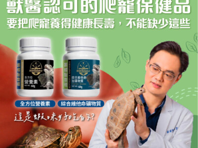 寵物保健Meta廣告素材