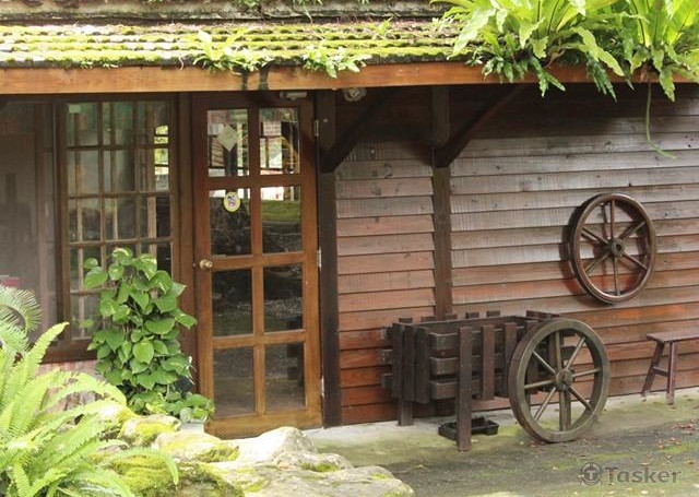 鳳林芳草古樹拍照作品