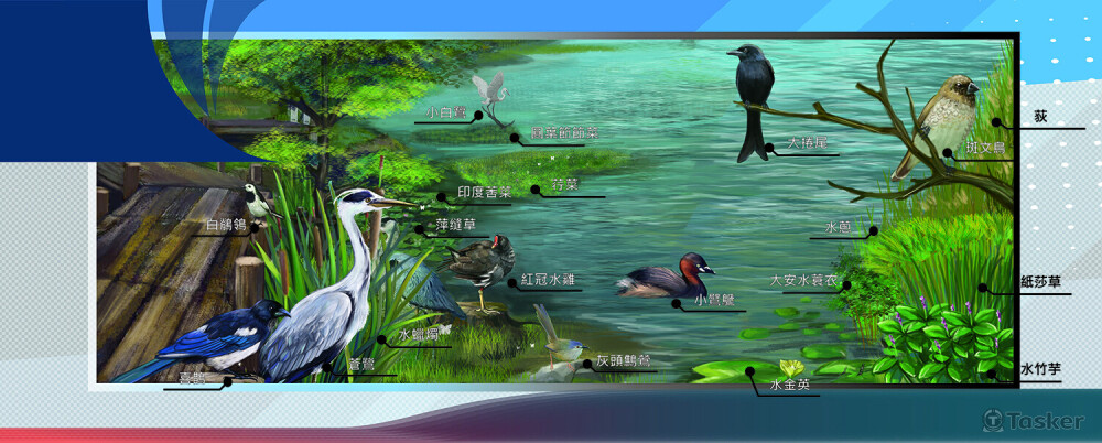 生態湖寫實插畫