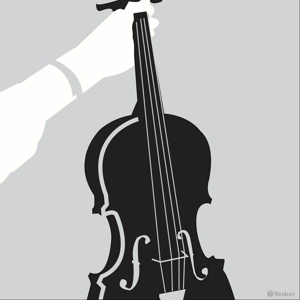 VIOLIN BNW STYLE