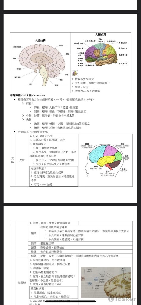 大學國考筆記節錄