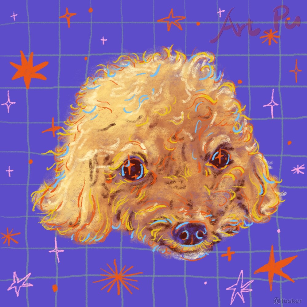 寵物肖像之紅貴賓