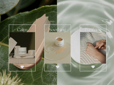 網頁製作 (完整頁面請私訊索取)