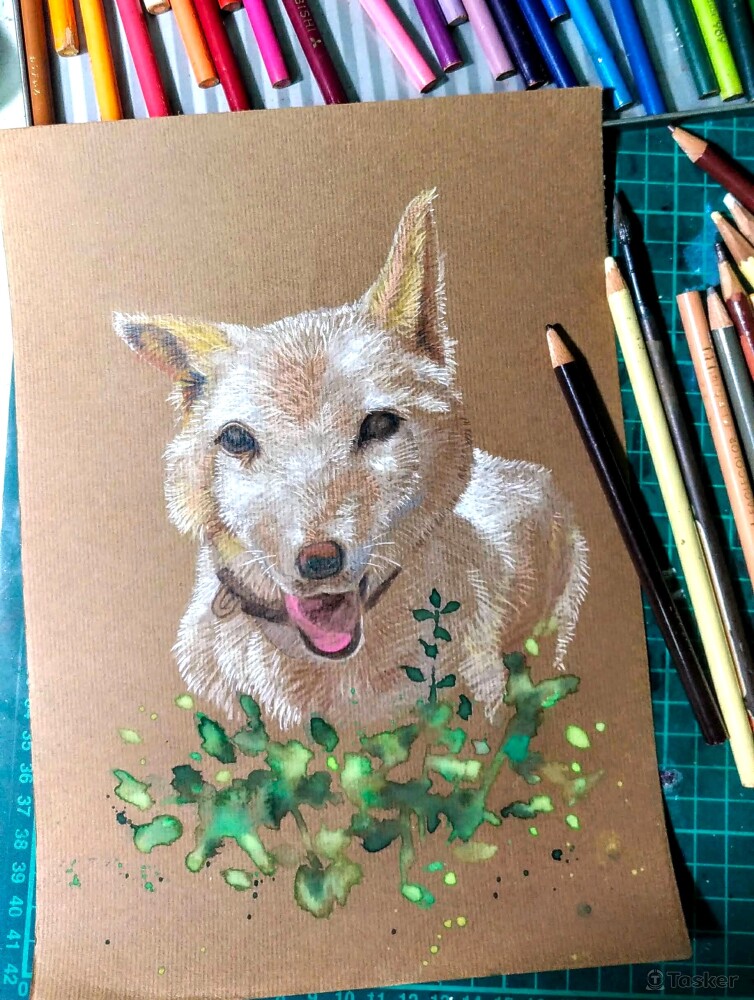 手繪色鉛筆 狗狗肖像訂製