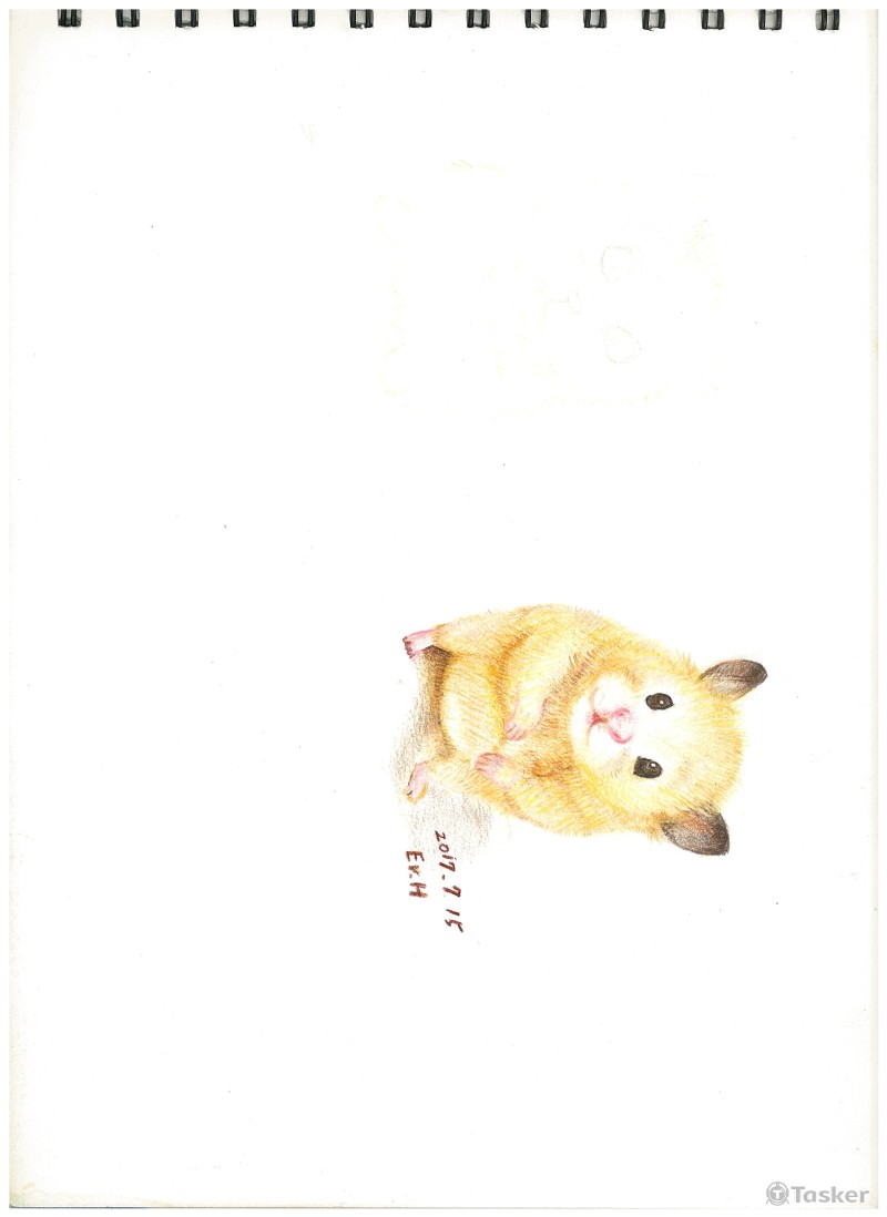 動物色鉛筆繪圖