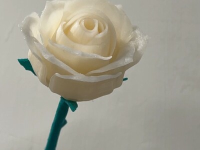 3D列印-文創擺飾