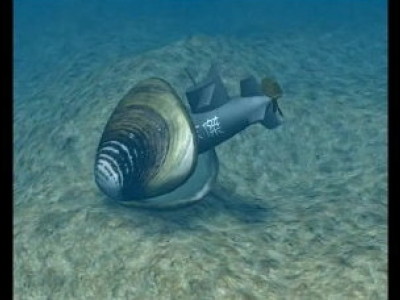 網頁、多媒體設計相簿