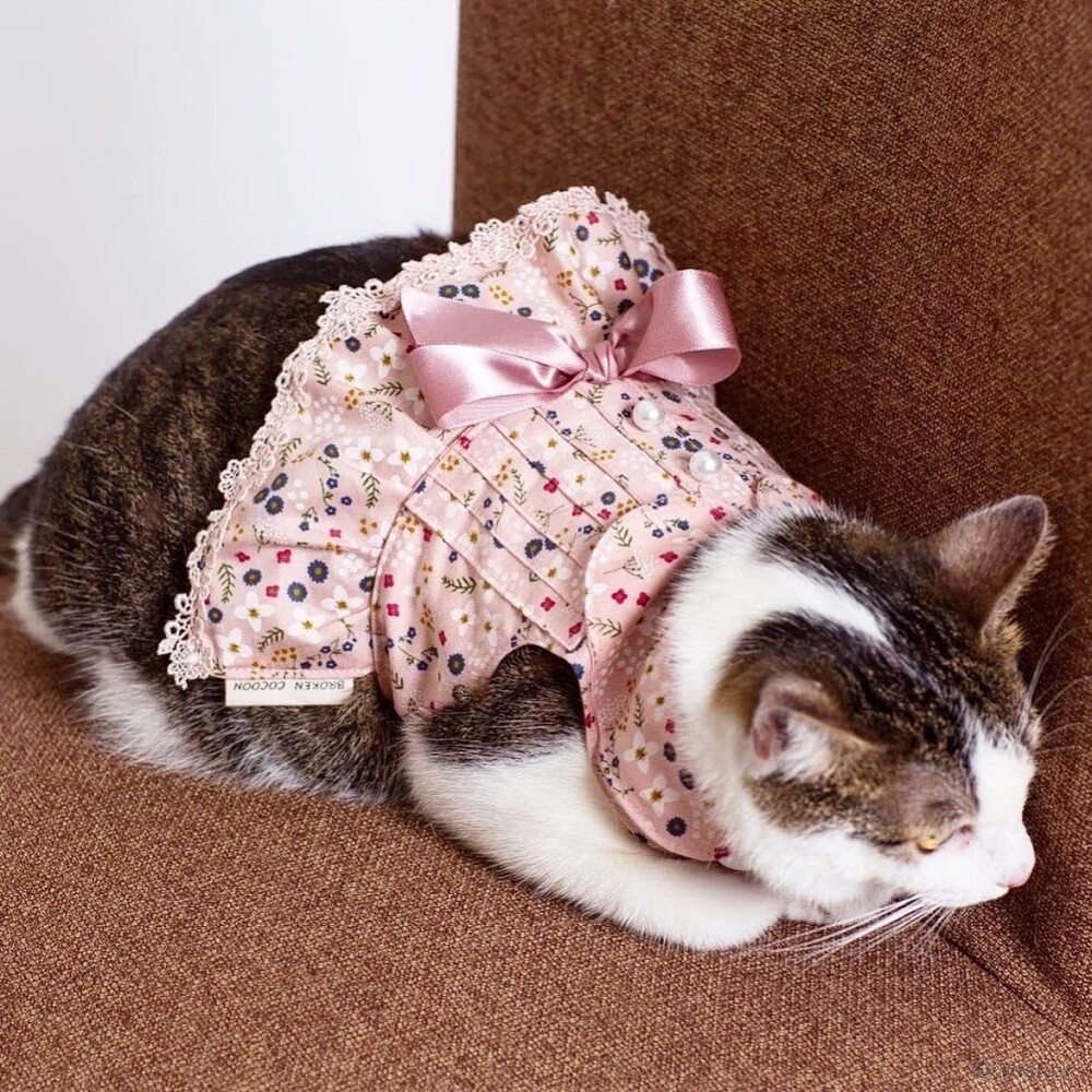 這是我自己創品牌的衣服