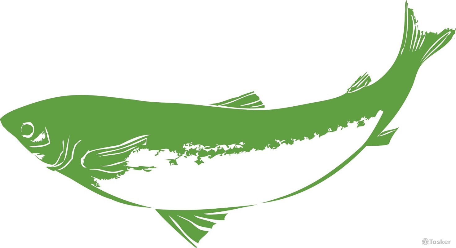 剪影-青魚(競標作品)