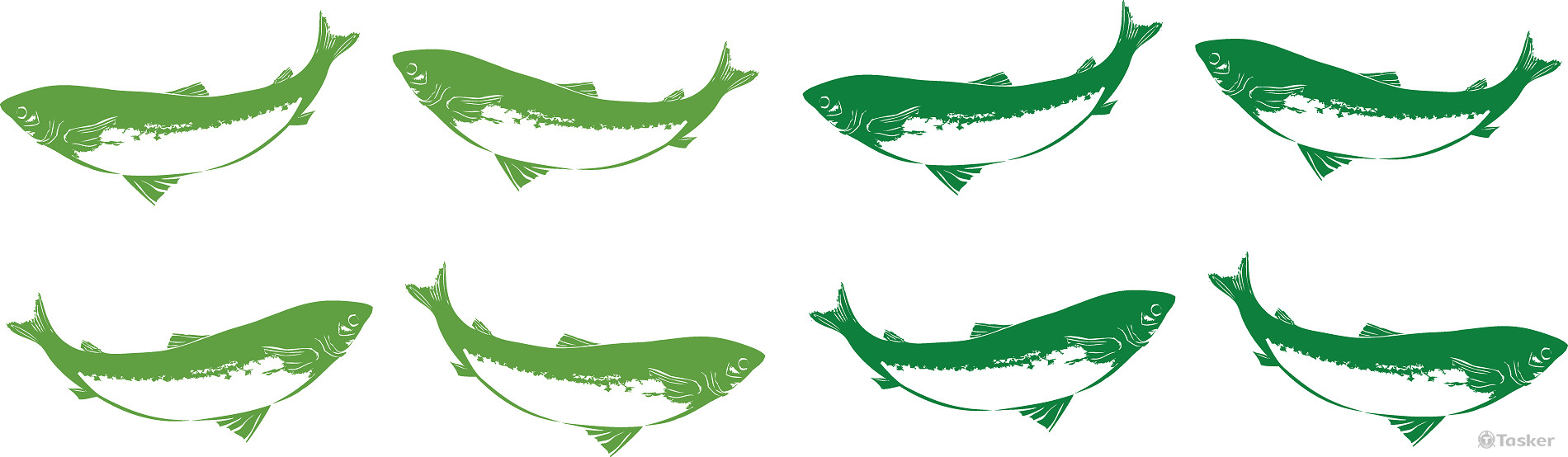 角度與色調測試(競標作品)