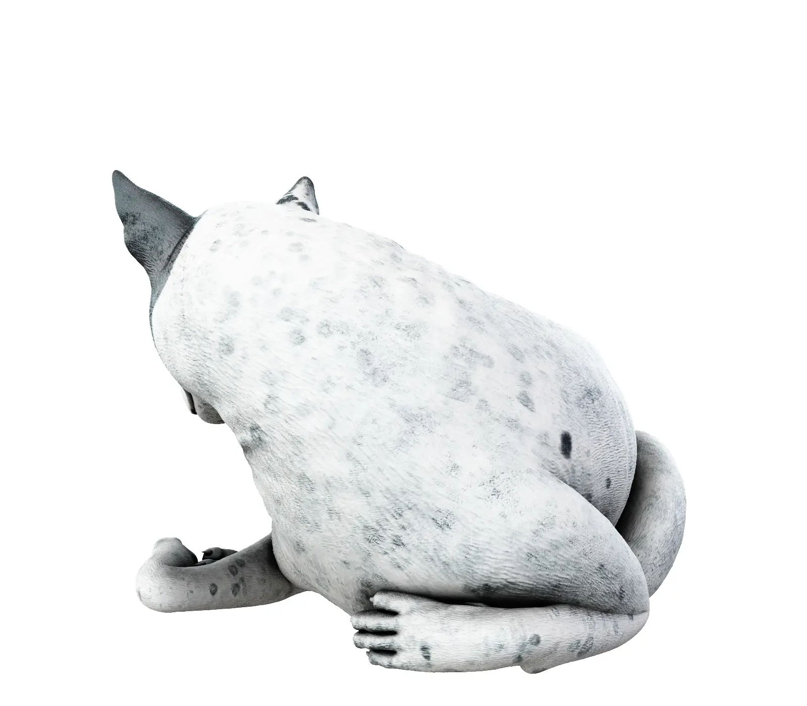 白白