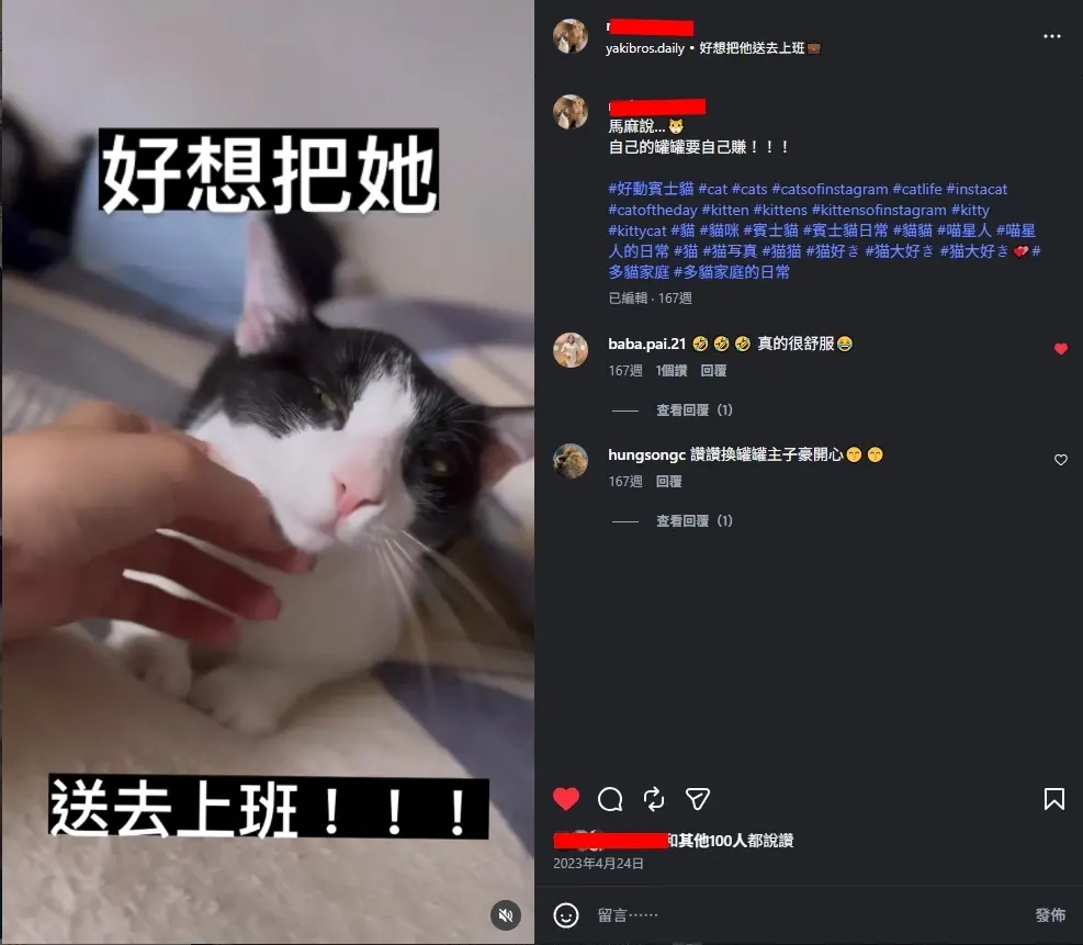 善用擬人化幽默文案捕捉受眾心理，精準佈局標籤提升自然觸及。
