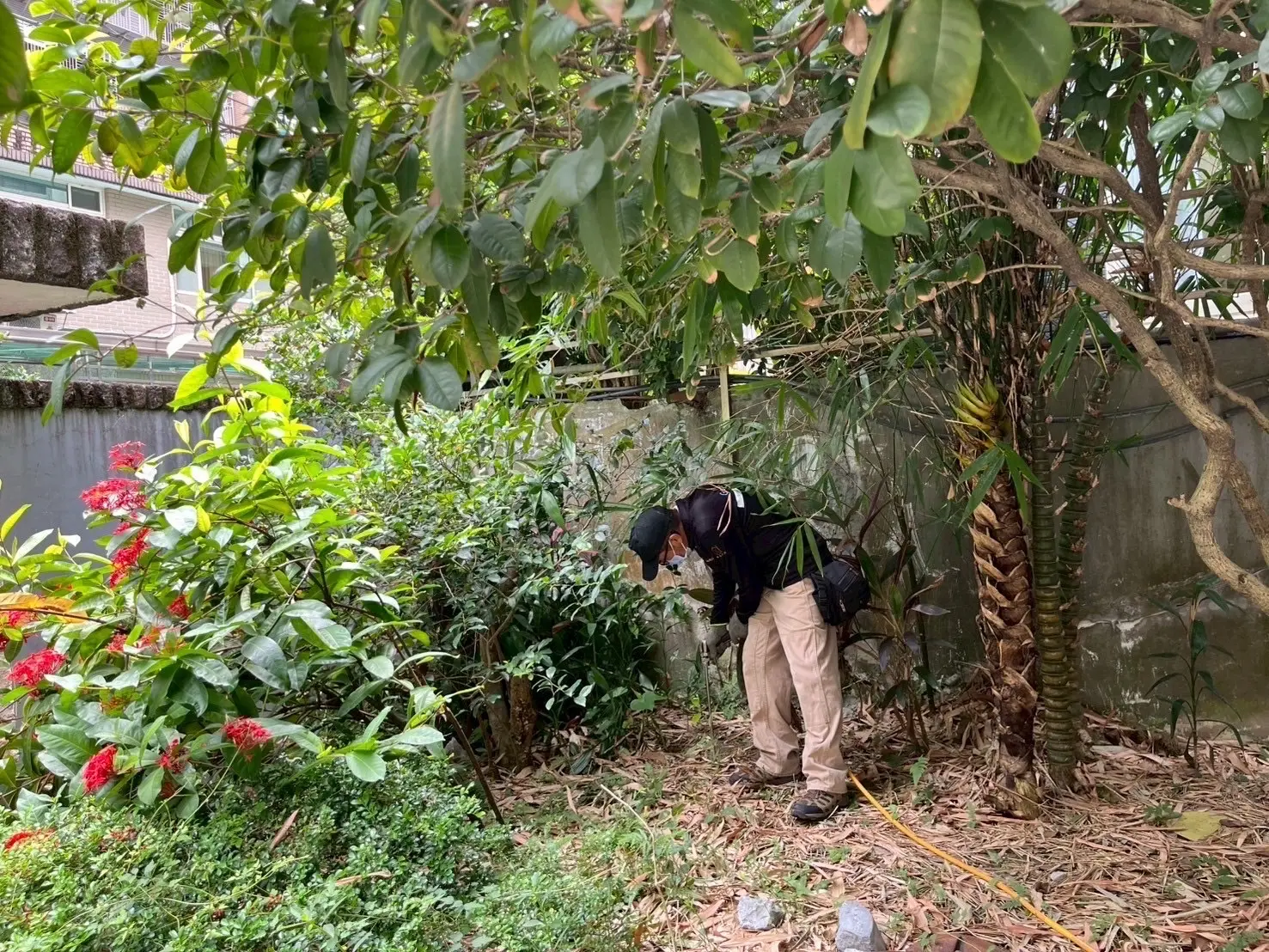 外圍土壤灌注建立第一道防護網
