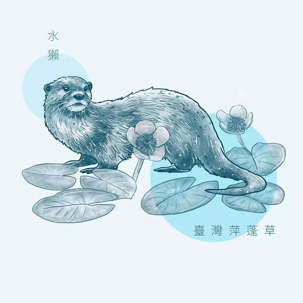 插畫/資訊圖設計