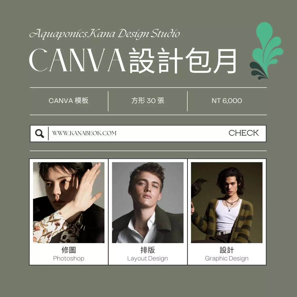 Canva設計包月6000