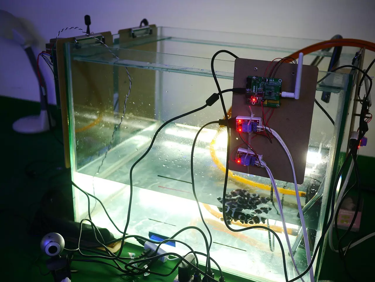 IOT物聯網系統建置