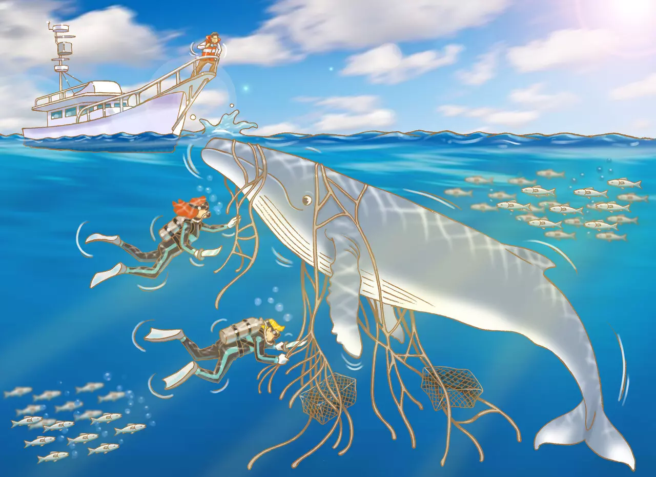 A4尺寸兒少繪本教材彩色