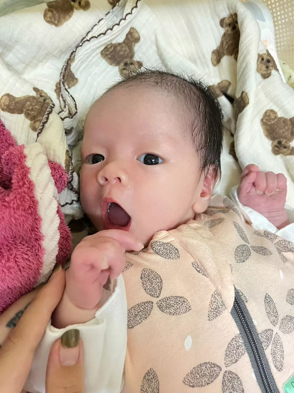 修圖.去背.簡易排版