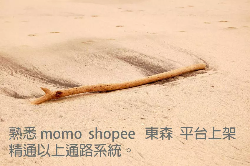 momo 東森 蝦皮 網路上架