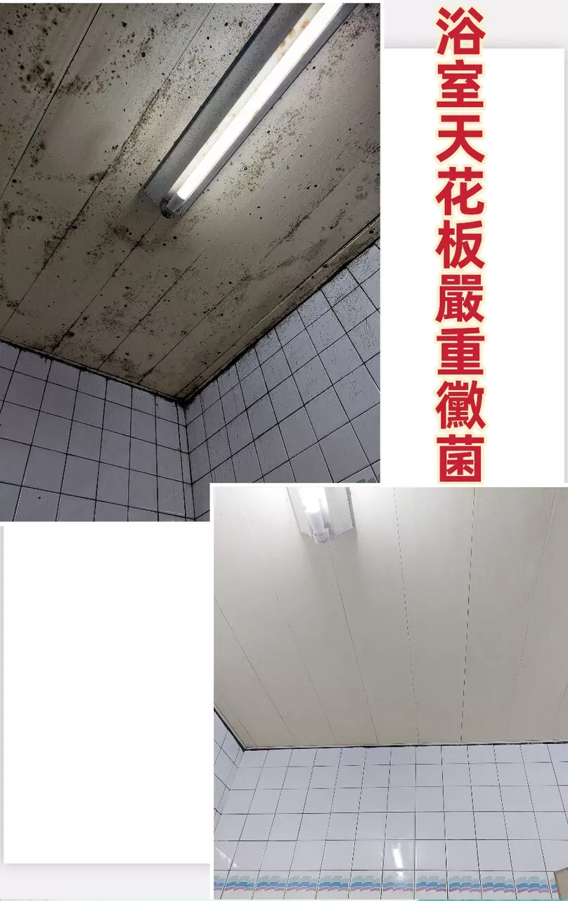 居家中浴室嚴重黴垢處理清潔