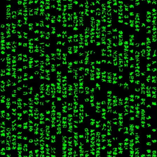 C#視窗程式設計