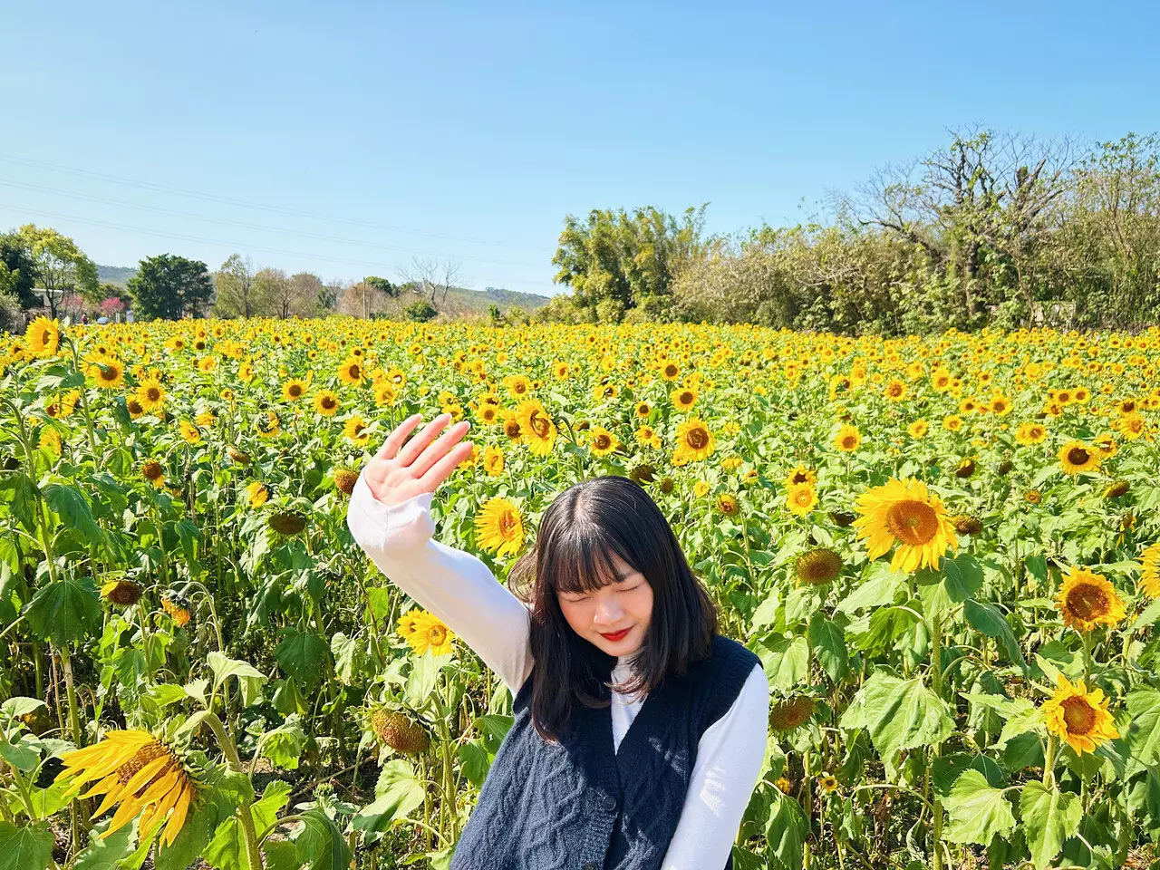 照片後製(包含PS修圖、調色等)