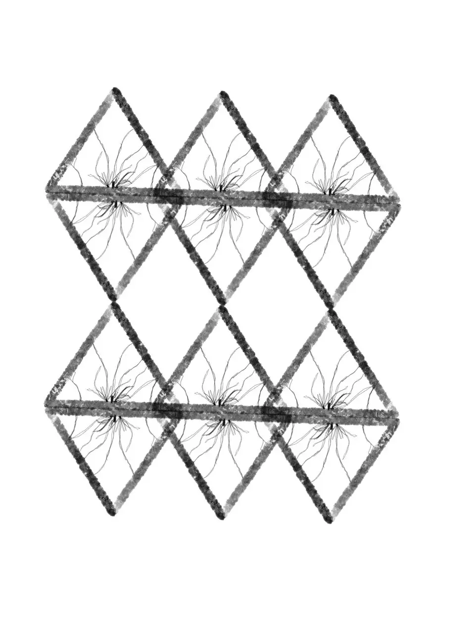 商業攝影｜藝術攝影