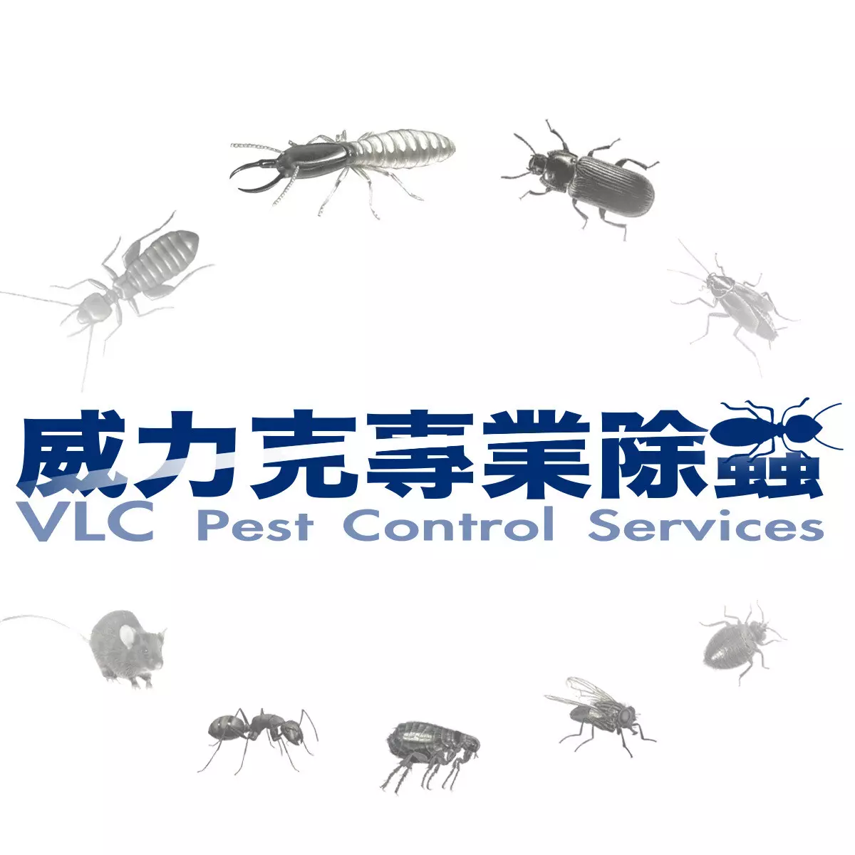 公司 餐廳 居家病媒防治