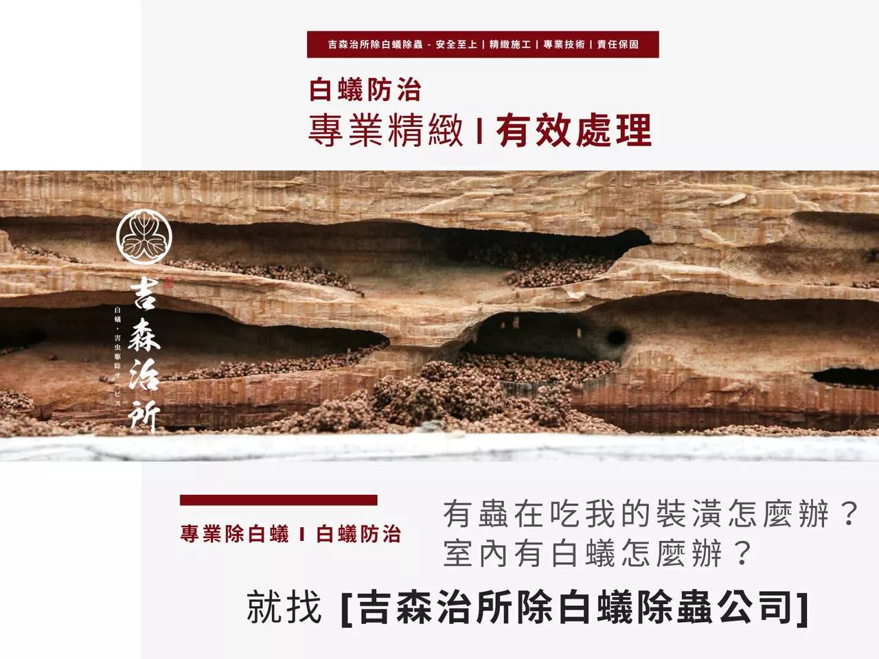 除白蟻 / 白蟻防治（價格依現場