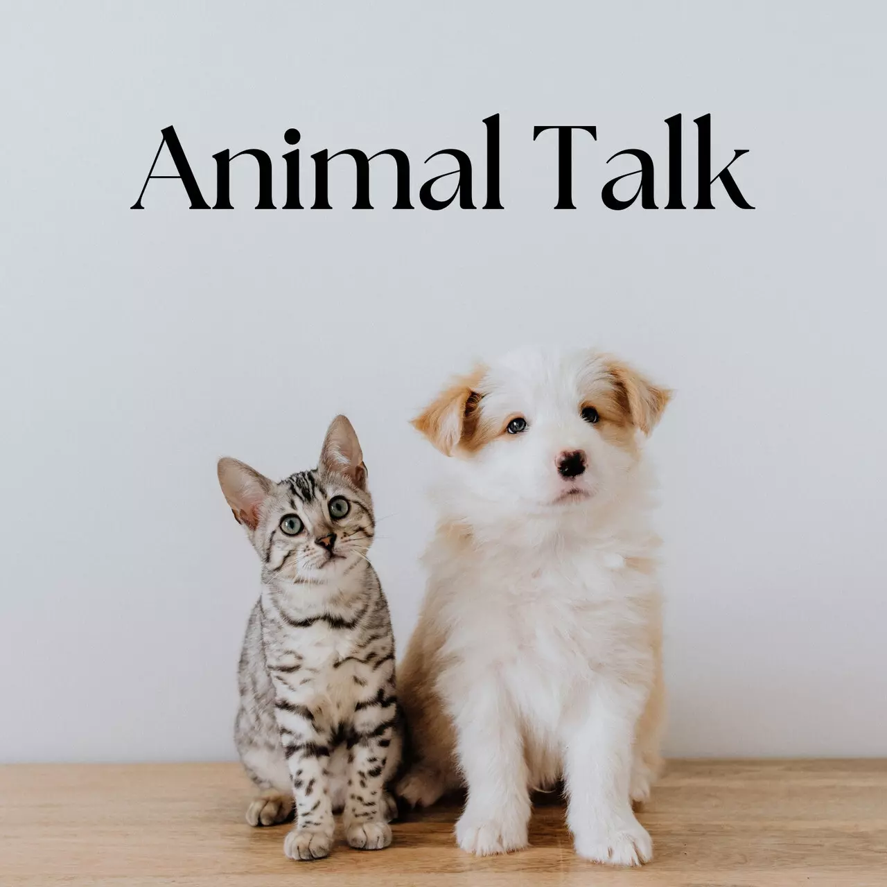 動物溝通（線上）