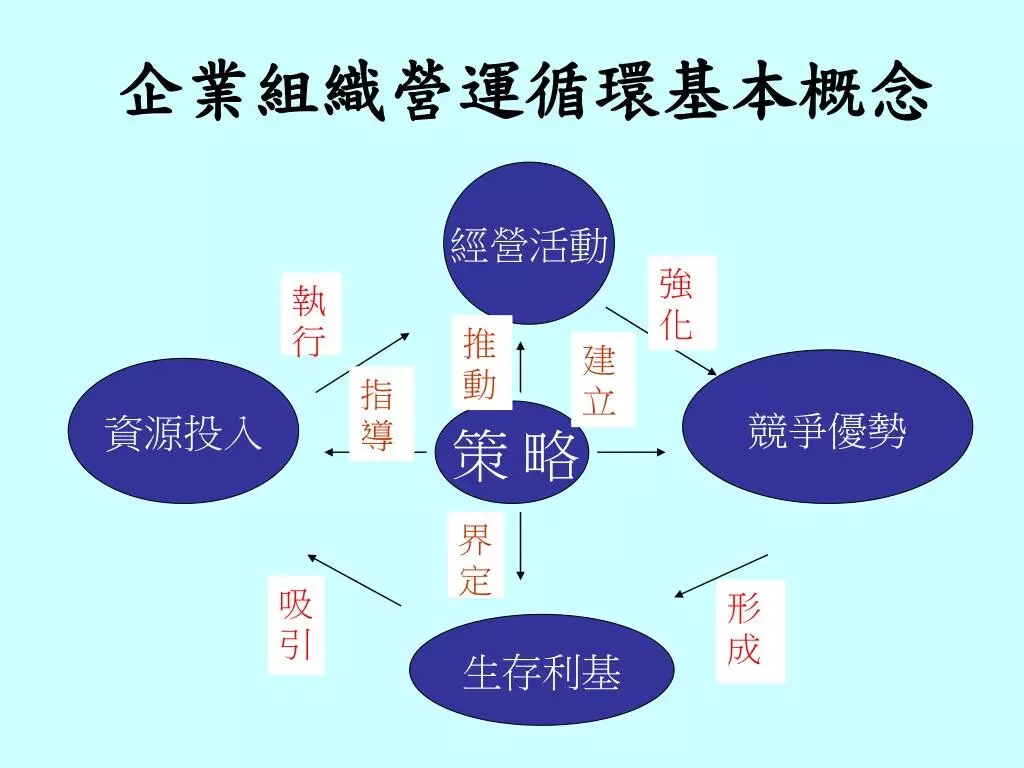 企業管理商學士規劃設計