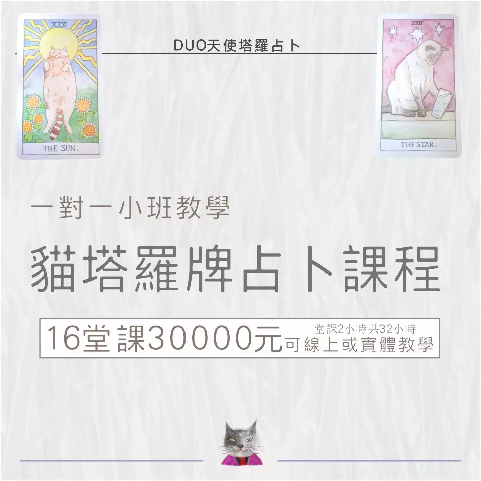 貓塔羅牌占卜課程一對一小班教學